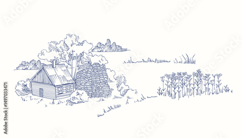 Drawing of  farm. Contour landscape.