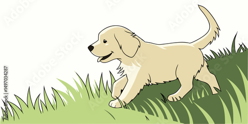 golden retriever puppy on grass