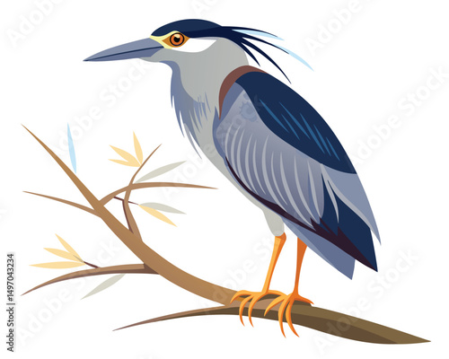 a graceful watercolor of a night heron with dark plumage