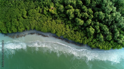 Fototapeta Naklejka Na Ścianę i Meble -  an aerial view of a dense mangrove forest acting as a natural barrier against coastal erosion.