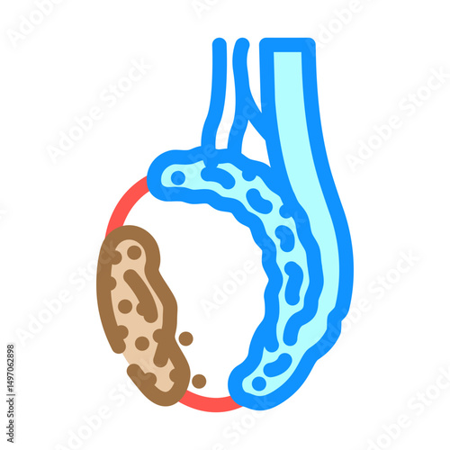 testicular cancer urology color icon vector illustration