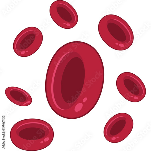 Red Blood Cells