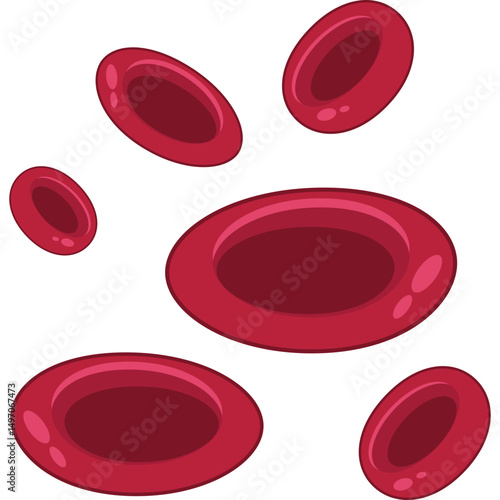 Red Blood Cells