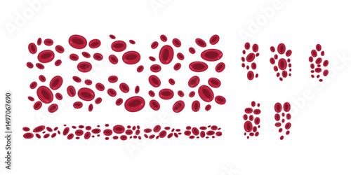 Red Blood Cells