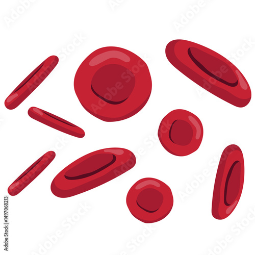Red Blood Cells Illustration
