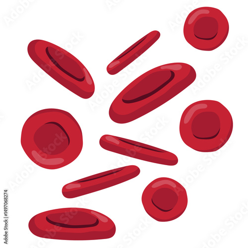 Red Blood Cells Illustration