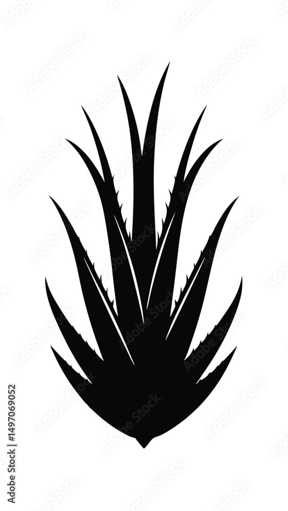 Fototapeta premium Black Silhouette of Agave Plant