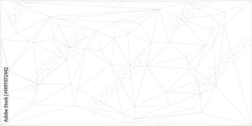 abstract black white triangle. geometric line texture background. polygon pattern. retro styled concept.