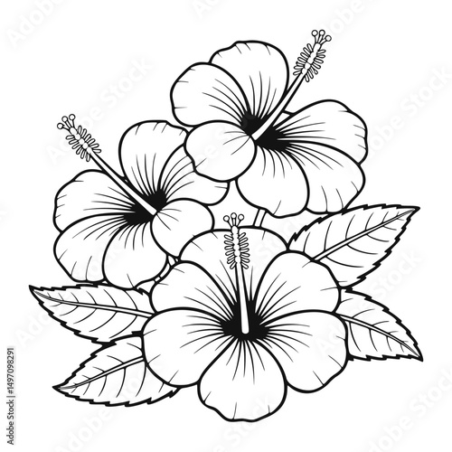 Beautiful Black and White Hibiscus Flower Arrangement