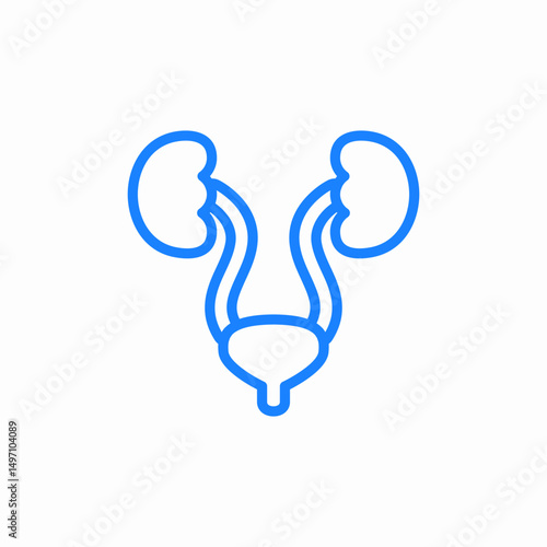 urology organs icon sign vector