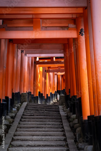 Japanese Torii Gates