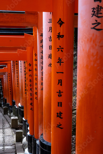 Japanese Torii Gates