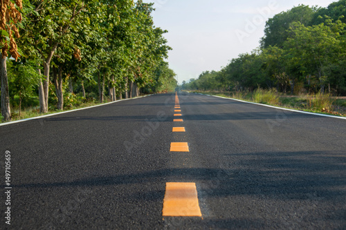Rural asphalt road and trees