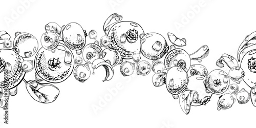 Cranberry lingonberry, water dew drops and green leaves, vector hand drawn in ink, scattered flying ripe forest berry bearberry teaberry. Isolated seamless banner. Dessert cafe menu, farmers market