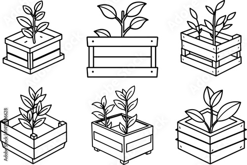 Set of seedling sprout on a wooden box outline line art illustration, coloring book page