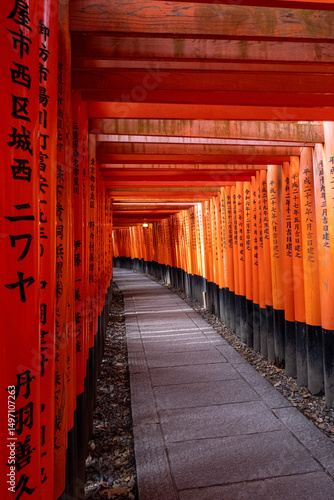 Japanese Torii Gates