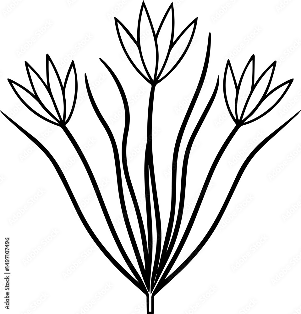 Obraz premium Chive Plant outline line art illustration, coloring book page