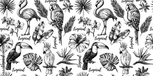 Wallpaper Mural Sketch tropical birds and plants seamless pattern. Hand drawn jungle vector illustration Torontodigital.ca