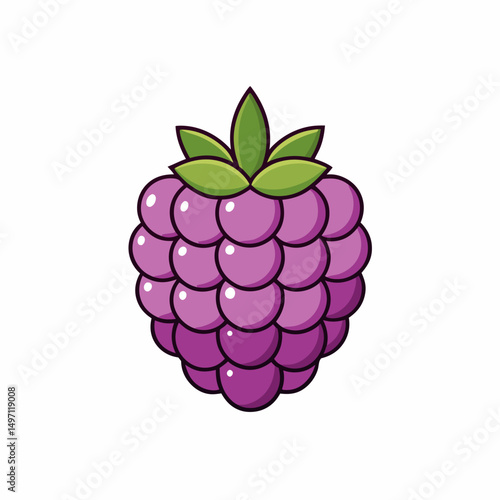vector illustration of ripe raspberry