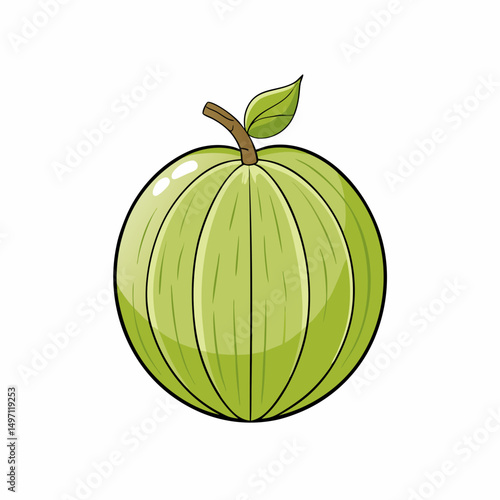 ripe melon isolated on white background