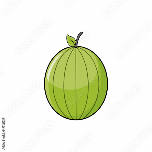 ripe melon isolated on white