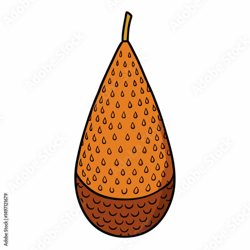 vector illustration of an orange fruit