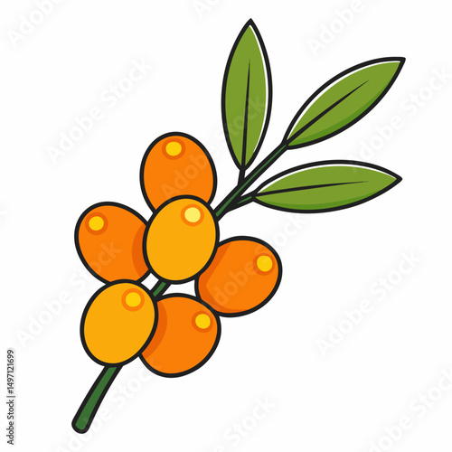 vector illustration of a branch with berries