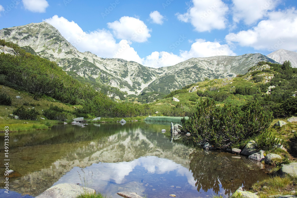 Fototapeta premium Pirin Mountain near Banderitsa Area, Bulgaria