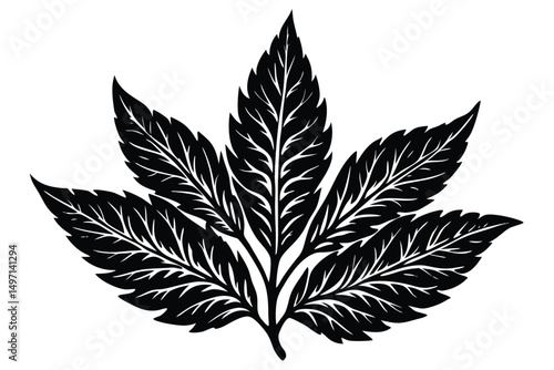 Green cannabis leaf silhouette vector: a marijuana plant symbol of nature and herbal medicine