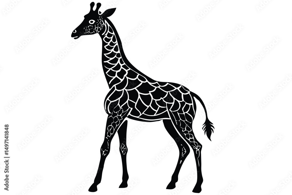 Obraz premium Isolated vector illustration of a young, tall giraffe with a long neck, standing on a white background