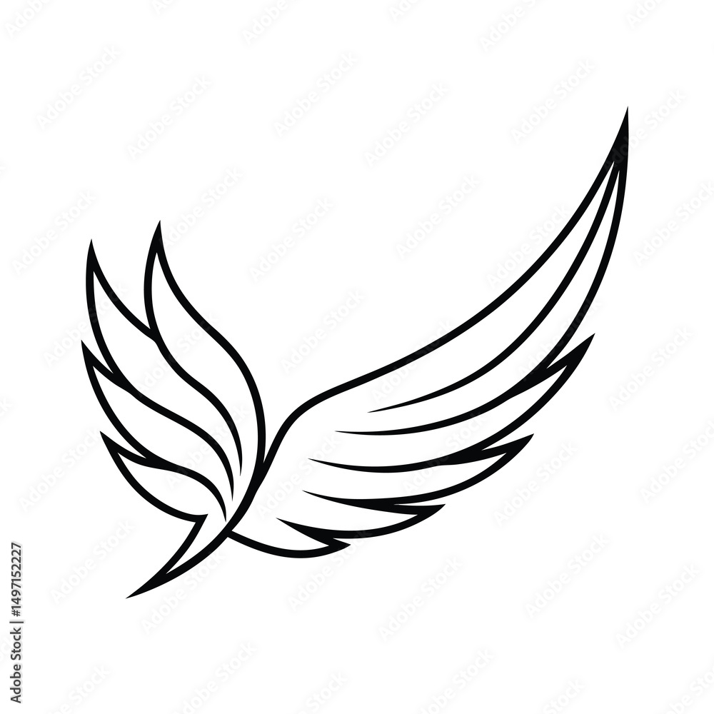 Fototapeta premium trendy feathered wing