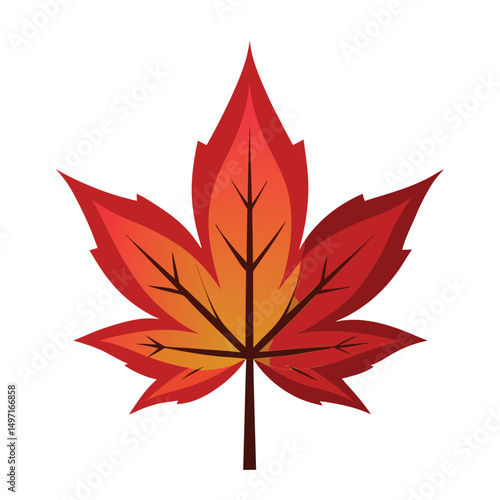 Japanese maple vector art illustration. Vector illustration of maple leaves in watercolor style without main line. 