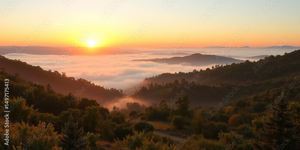 Misty Dawn's Embrace: Serene Valley Awash in Golden Light Misty Dawn's Embrace: Serene Valley Awash in Golden Light