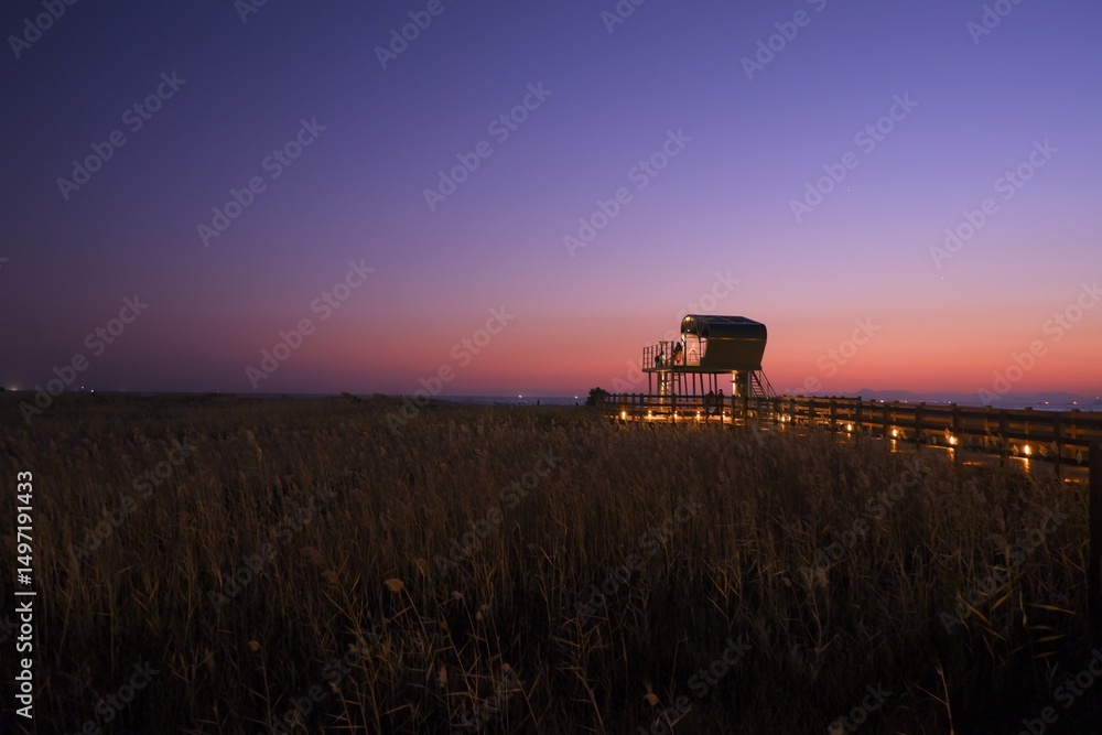 Fototapeta premium A scenic sunset of an observation deck surrounded by golden reed fields at Dadaepo Beach, Busan, S-Korea