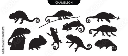 Chameleon Silhouettes Set in Dynamic Black Vector Collection
