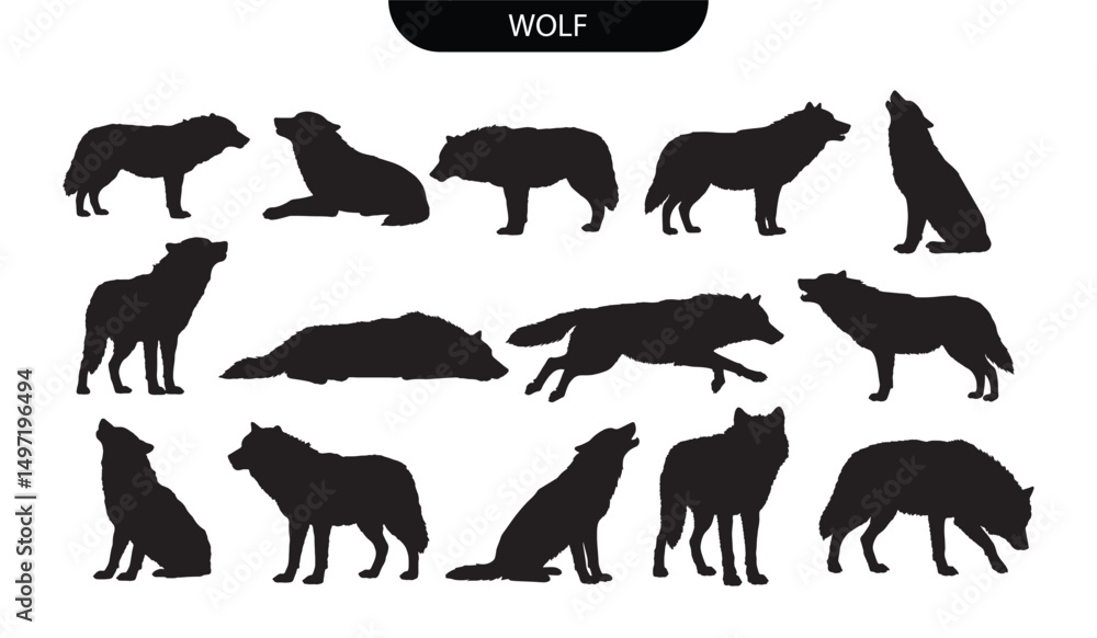Obraz premium Wolf silhouette. Wolf Animal Silhouettes Set Collection in Black Vector Style