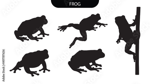 Frog Silhouette Set Vector of Amphibians in Jumping, Sitting, and Climbing Positions