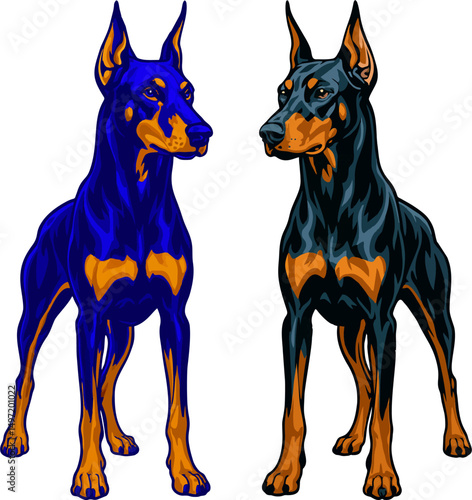 Doberman vector two colors.eps