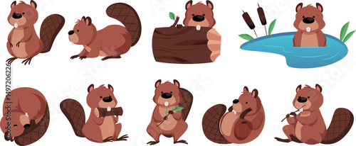 Vector set of cute beavers in different poses, sitting, sleeping, gnawing, swimming.
