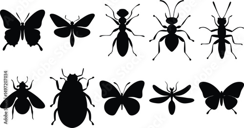 Silhouettes of various insects including butterflies, beetles, and ants – vector icons