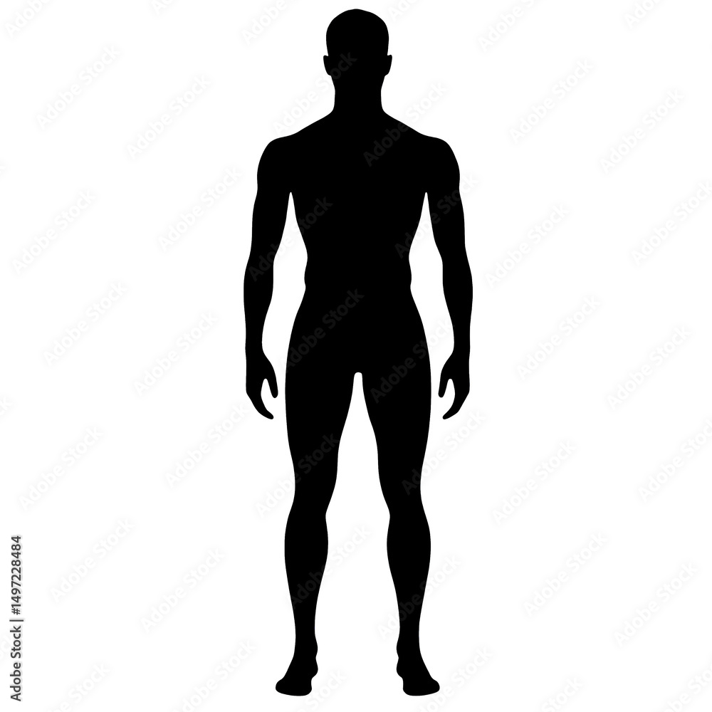 Silhouette of human male figure standing upright with arms relaxed sides, showing muscular build and detailed body outline Silhouette of human male figure standing upright with arms relaxed sides, showing muscular build and detailed body outline