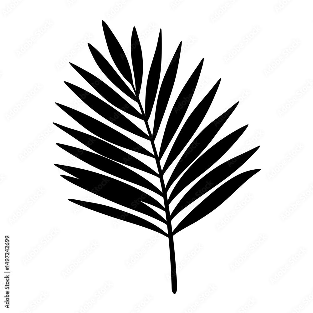 Silhouette of Tropical Palm Leaf Illustration on a White Background for Decor Silhouette of Tropical Palm Leaf Illustration on a White Background for Decor