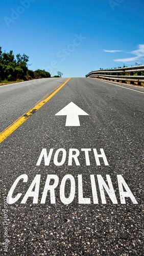 Wallpaper Mural Scenic north carolina road with painted arrow under clear blue sky Torontodigital.ca