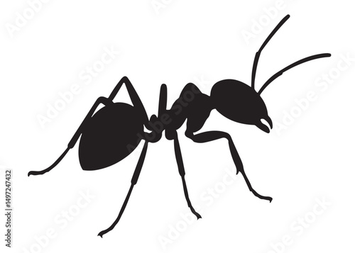ant logo vector silhouette illustration, vector illustration of ant logo icon design, vector of a black silhouette ant, black ant silhouette isolated on white background.
