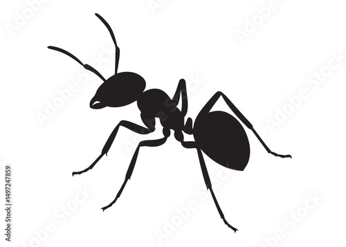 ant logo vector silhouette illustration, vector illustration of ant logo icon design, vector of a black silhouette ant, black ant silhouette isolated on white background.