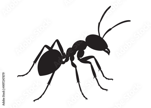 ant logo vector silhouette illustration, vector illustration of ant logo icon design, vector of a black silhouette ant, black ant silhouette isolated on white background.