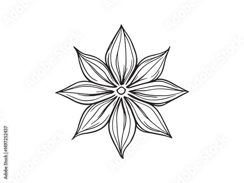 single star anise vector line art illustration