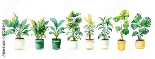 Watercolor potted plants collection decorative greenery isolated on transparent background png
