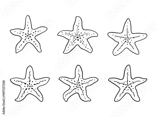 Starfich vector line art illustration