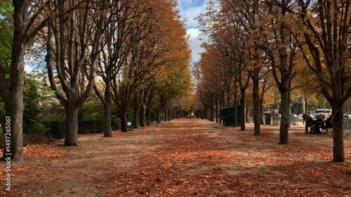 Experience vibrant autumn colors along Champs Elysees in Paris
